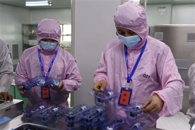 Kompetisi Keterampilan Tenaga Kerja Pertama